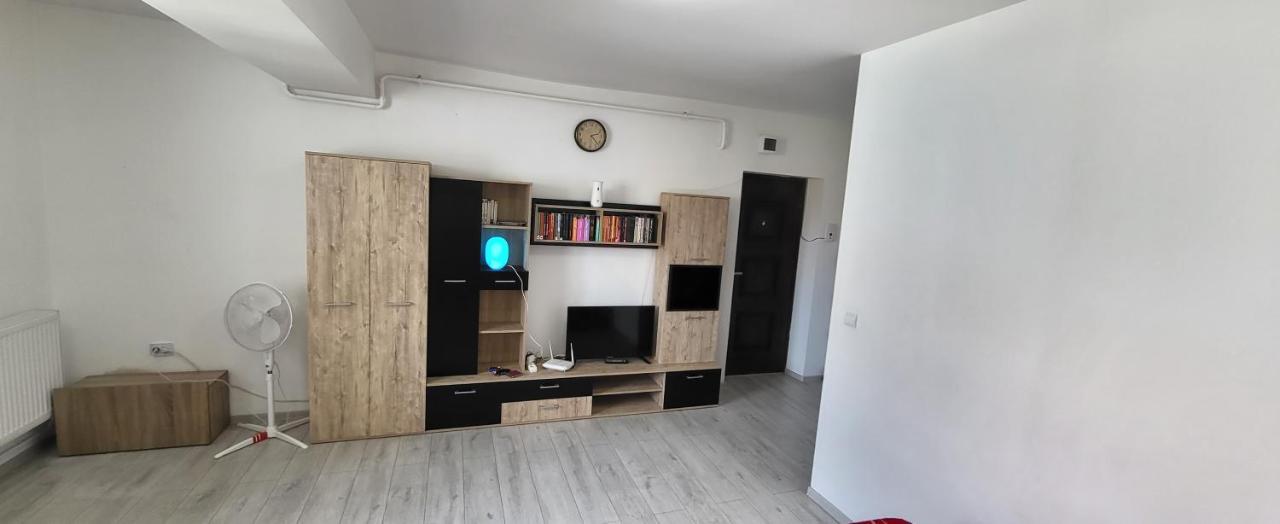 Self Check-In Studio 22 Bulevardul Oltenia Craiova Bagian luar foto