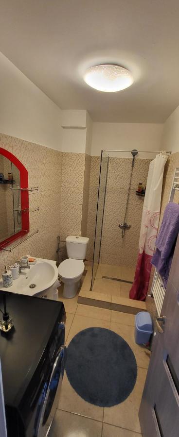 Self Check-In Studio 22 Bulevardul Oltenia Craiova Bagian luar foto